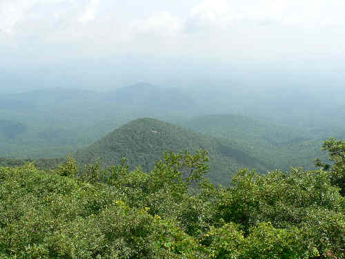 View three!