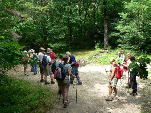 Here we are at the Bartram Trail intersection at the base of Rabun Bald.