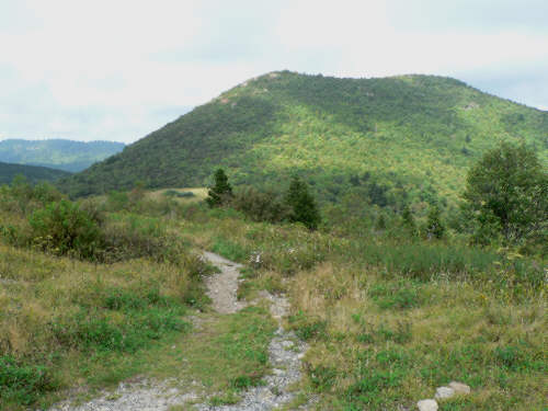 Now, we are on the trail to Sam Knob!