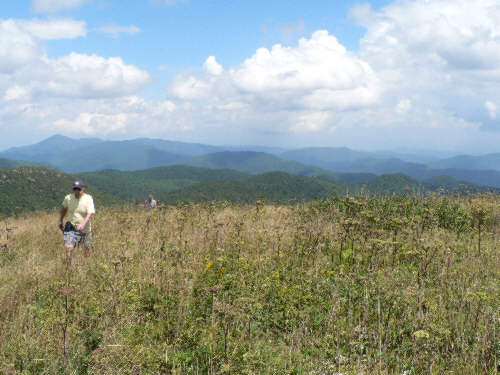 After lunch, we move over to Black Balsam Knob!