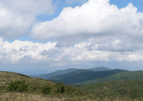 Looking from Black Balsom Knob over toward Shining Rock Mountain and Cold Mountain (yes, the Cold Mountain from the book).