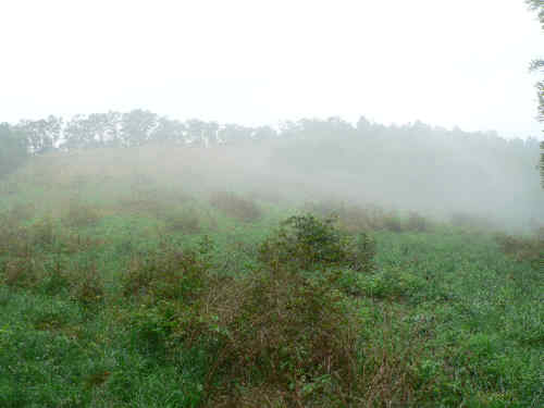 The grassy slope up to the summitt of Siler Bald. Unfortunately fogged in today!