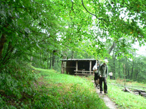 We ate lunch at the Siler Bald Shelter.