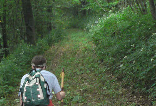 Early into the hike, you can see the lush environment.