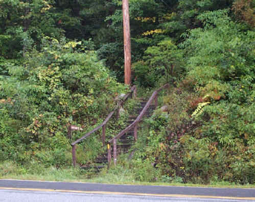 The trail starts across the highway from our parking lot.