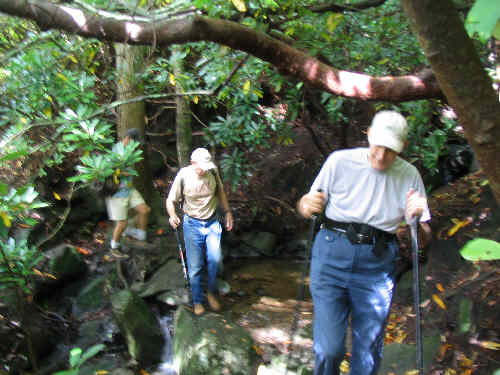 Creek crossing early into the hike.