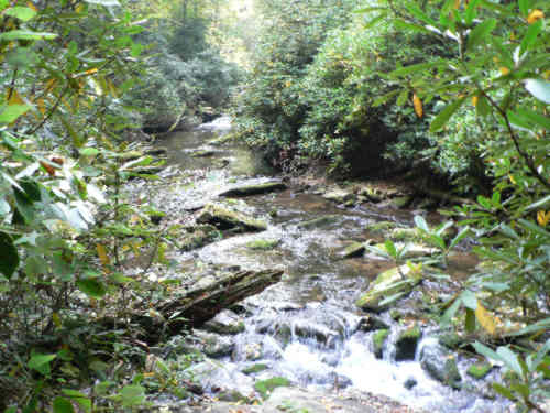 The trail follows the East Fork Chattooga River for the first 2.5 miles.