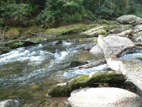 the Chattooga River at our lunch spot for the day.