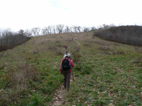 We start the final climb up the grassy slope to Siler Bald.