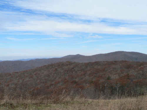 View three