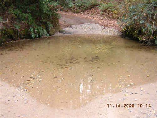 The Ford