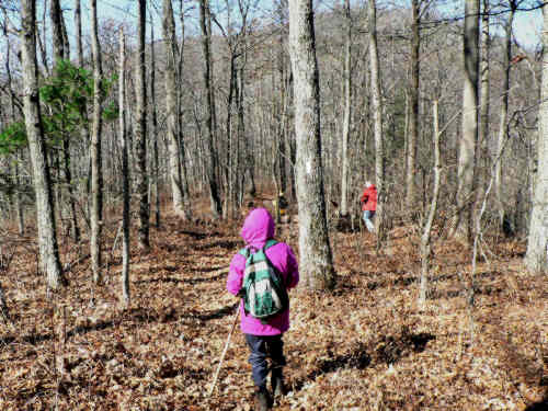 The leaves have fallen and the trail has a wintertime look...