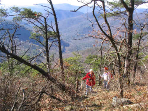 Typical trail-side view!