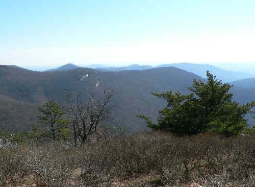 View two.