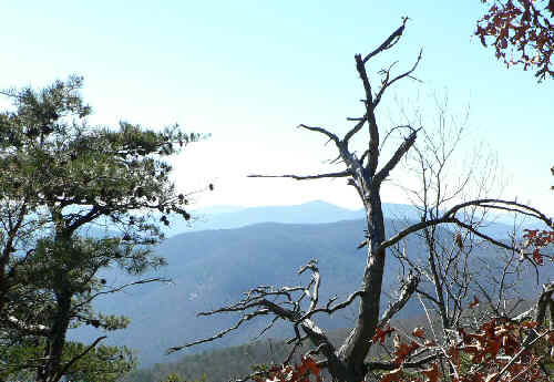 This view is along the trail back to Neels Gap.