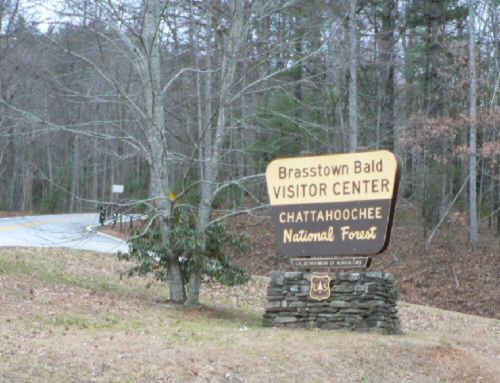 The sign adjacent to our parking lot.
