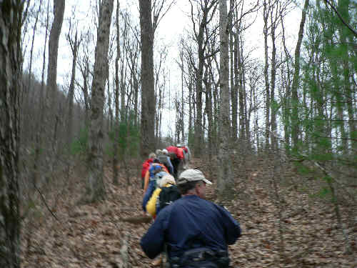 Heading up the first climb on the Jack's Knob Trail.