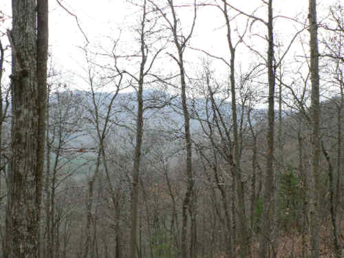 Constant mountain views along the trail! (only after the leaves have fallen)