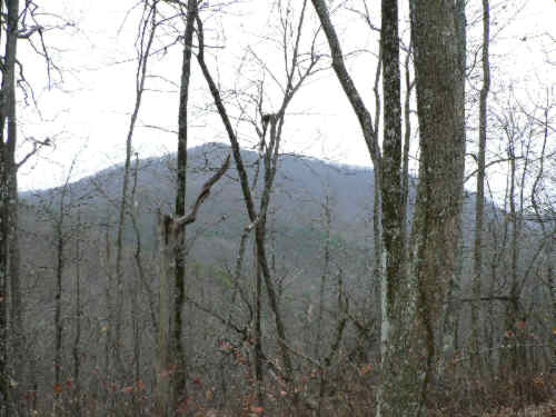 View from Chattahoochee Gap.