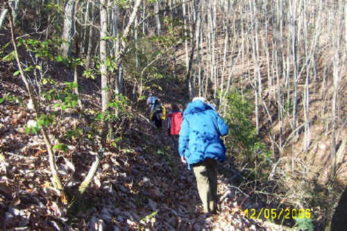 Walking along the trail on a cushion of fresh fallen leaves.