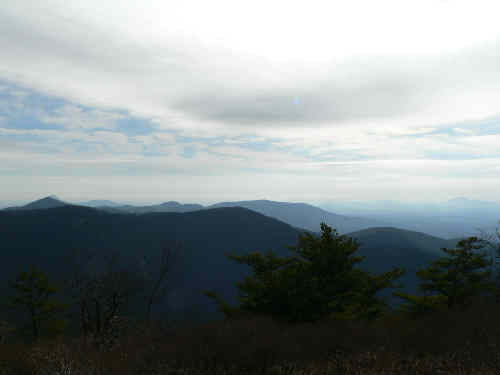 The view from Wolf Laurel Top.