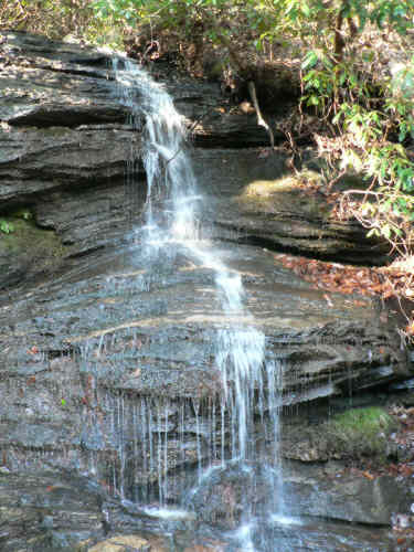 Pretty little waterfall about a half-mile into the hike.