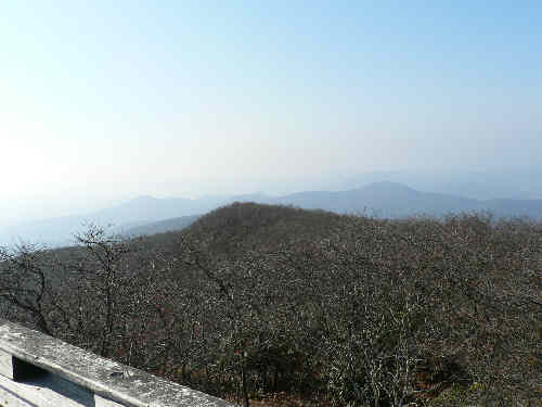 View 5