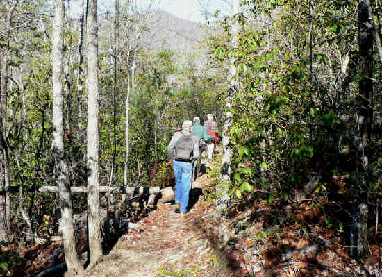 A great walk through the forest!