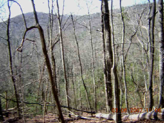 Typical view along the trail.