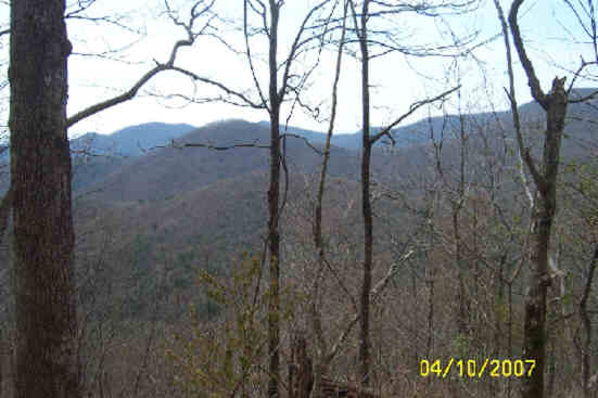 Nice trailside view!