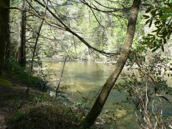 A nice peaceful section of the Chattooga River.