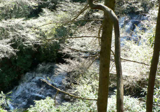 The lower waterfalls on Lick Log Creek - Lick Log Falls.