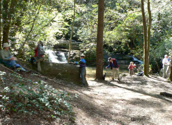 Lunchtime at Lick Log Creek!
