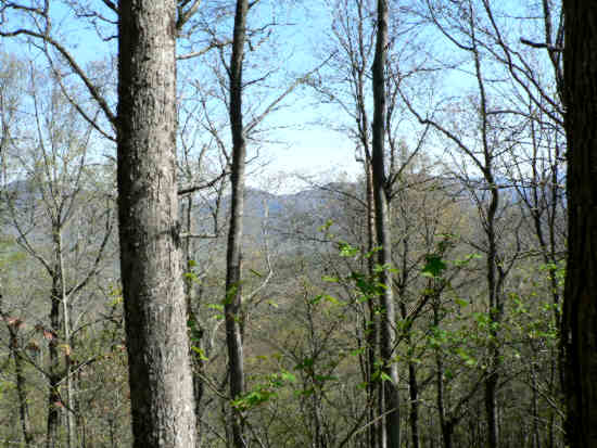 The lack of leaves on the trees provided nice mountain views.