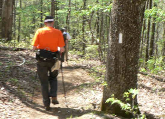 Following the famous white blazes along the Appalachian Trail. .