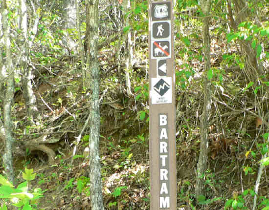 The trail starts on an old gated Forest Service Rd. and 1.5 miles later turns onto a regular foot-path. This is the marker at the start of the foot-path.