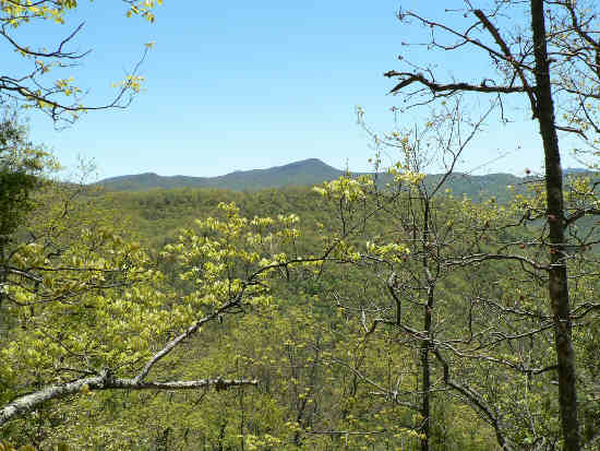 Nice views along the trail. .
