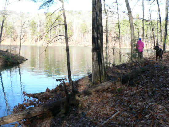 This loop trail stays very close to the lake for the 4.6 mi.