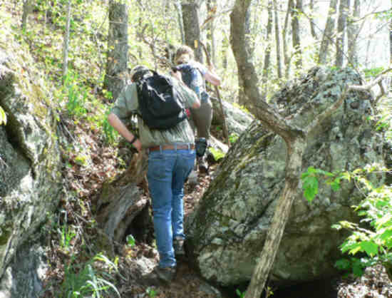 There are several rocky sections along the trail.
