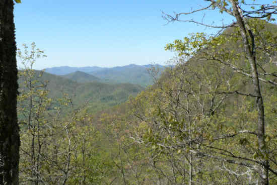 Another nice trail-side view.
