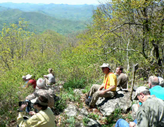 Lunchtime at Wolf Rock!