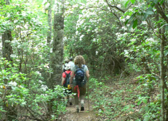 Another great day for a hike!