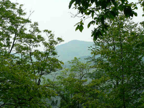 Most of the mountain views are now obscured by the foliage but we get occasional glimpses.