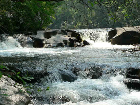 The "Wild and Scenic Chattooga River"