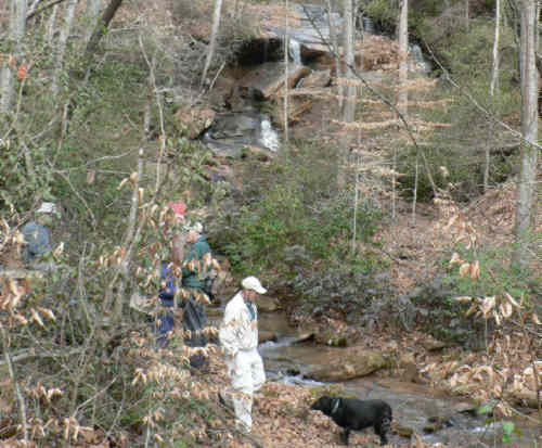 Nancytown Falls is not spectacular but it is nice!