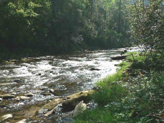 Nice river views all day!