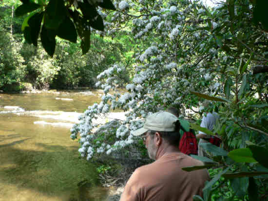 Typical views along the river. .