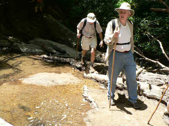 Crossing the logs below King's Creek Falls.