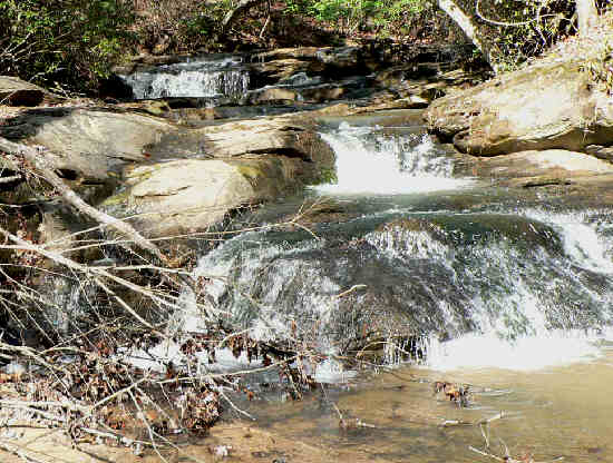 Nancytown Creek features several nice cascades.