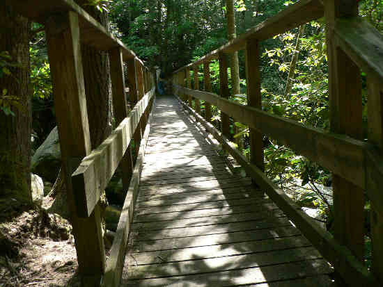 We soon come the the foot-bridge across the Thompson River.